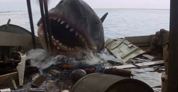 Jaws (1975) - Original Orca Buoy & Netting - Image 4